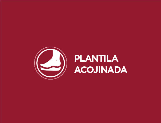 Plantilla Acojinada