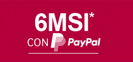 6 MSI con Paypal